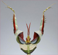 Avatar de Usuario